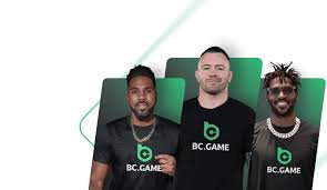 Understanding the BC.Game RO Privacy Policy