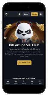 Bitfortune Digital Asset Payments A Comprehensive Guide