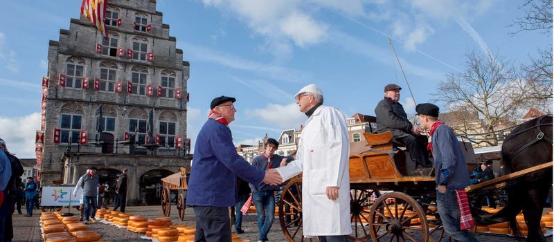 Netherlands - chicken road slot