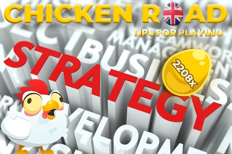 Netherlands - chicken road gokspel