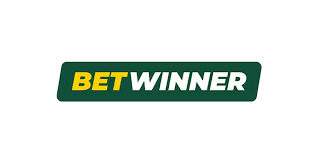 Discover BetWinner Your Ultimate Betting Experience