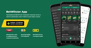 Explore BetWinner Brazil The Ultimate Betting Experience