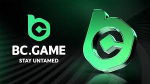 Understanding the BC.Game Login Process Understanding the BC.Game Login Process