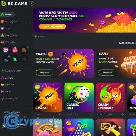 Unlocking Gaming Freedom Understanding BC.Game Mirror Sites